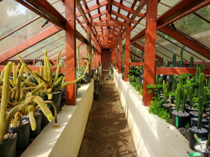 Giardino Botanico della Facolt di Scienze Universit di Zagabria